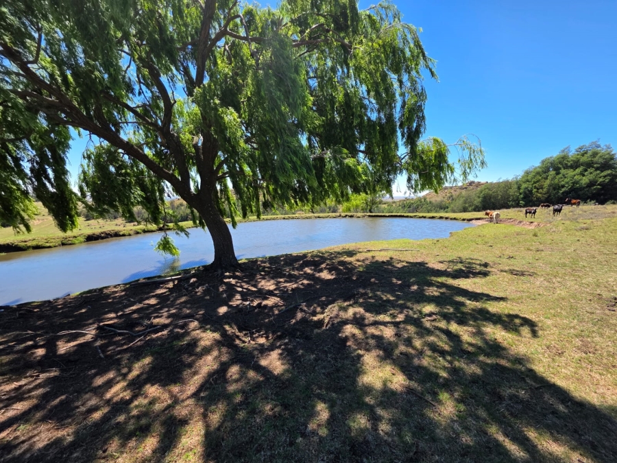 8 Bedroom Property for Sale in Bethlehem Rural Free State